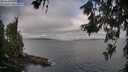 ./images/koeye/fitz-hugh/20260619/fitz-hugh20260619_075002M.jpg