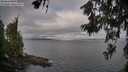 ./images/koeye/fitz-hugh/20260619/fitz-hugh20260619_080001M.jpg