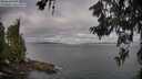./images/koeye/fitz-hugh/20260619/fitz-hugh20260619_080501M.jpg