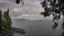 ./images/koeye/fitz-hugh/20260619/fitz-hugh20260619_081001M.jpg