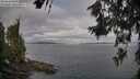 ./images/koeye/fitz-hugh/20260619/fitz-hugh20260619_081502M.jpg