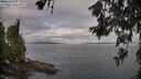 ./images/koeye/fitz-hugh/20260619/fitz-hugh20260619_082002M.jpg