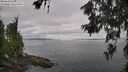 ./images/koeye/fitz-hugh/20260619/fitz-hugh20260619_082501M.jpg