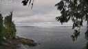 ./images/koeye/fitz-hugh/20260619/fitz-hugh20260619_083001M.jpg