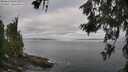 ./images/koeye/fitz-hugh/20260619/fitz-hugh20260619_084001M.jpg