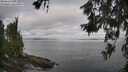 ./images/koeye/fitz-hugh/20260619/fitz-hugh20260619_084501M.jpg