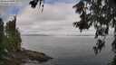 ./images/koeye/fitz-hugh/20260619/fitz-hugh20260619_085001M.jpg
