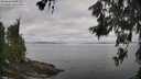 ./images/koeye/fitz-hugh/20260619/fitz-hugh20260619_085502M.jpg
