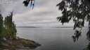 ./images/koeye/fitz-hugh/20260619/fitz-hugh20260619_090002M.jpg