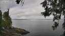 ./images/koeye/fitz-hugh/20260619/fitz-hugh20260619_090501M.jpg