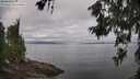 ./images/koeye/fitz-hugh/20260619/fitz-hugh20260619_091501M.jpg
