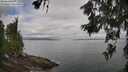 ./images/koeye/fitz-hugh/20260619/fitz-hugh20260619_092001M.jpg