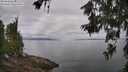 ./images/koeye/fitz-hugh/20260619/fitz-hugh20260619_093501M.jpg