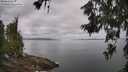 ./images/koeye/fitz-hugh/20260619/fitz-hugh20260619_094001M.jpg