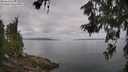 ./images/koeye/fitz-hugh/20260619/fitz-hugh20260619_094501M.jpg