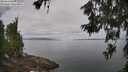 ./images/koeye/fitz-hugh/20260619/fitz-hugh20260619_100001M.jpg