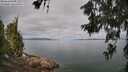 ./images/koeye/fitz-hugh/20260619/fitz-hugh20260619_101001M.jpg