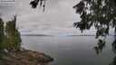 ./images/koeye/fitz-hugh/20260619/fitz-hugh20260619_101501M.jpg