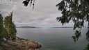 ./images/koeye/fitz-hugh/20260619/fitz-hugh20260619_103501M.jpg