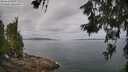 ./images/koeye/fitz-hugh/20260619/fitz-hugh20260619_104001M.jpg