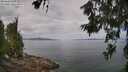./images/koeye/fitz-hugh/20260619/fitz-hugh20260619_104501M.jpg