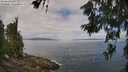 ./images/koeye/fitz-hugh/20260619/fitz-hugh20260619_105501M.jpg