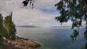 ./images/koeye/fitz-hugh/20260619/fitz-hugh20260619_110001M.jpg