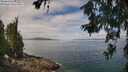 ./images/koeye/fitz-hugh/20260619/fitz-hugh20260619_110501M.jpg