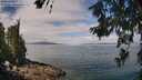./images/koeye/fitz-hugh/20260619/fitz-hugh20260619_111002M.jpg