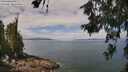 ./images/koeye/fitz-hugh/20260619/fitz-hugh20260619_112501M.jpg