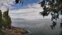 ./images/koeye/fitz-hugh/20260619/fitz-hugh20260619_113002M.jpg