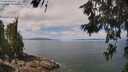 ./images/koeye/fitz-hugh/20260619/fitz-hugh20260619_114501M.jpg