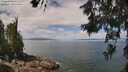 ./images/koeye/fitz-hugh/20260619/fitz-hugh20260619_115001M.jpg