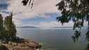 ./images/koeye/fitz-hugh/20260619/fitz-hugh20260619_120001M.jpg