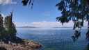 ./images/koeye/fitz-hugh/20260619/fitz-hugh20260619_121502M.jpg