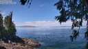 ./images/koeye/fitz-hugh/20260619/fitz-hugh20260619_122001M.jpg