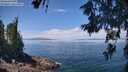 ./images/koeye/fitz-hugh/20260619/fitz-hugh20260619_122501M.jpg