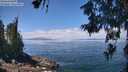 ./images/koeye/fitz-hugh/20260619/fitz-hugh20260619_123001M.jpg