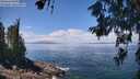 ./images/koeye/fitz-hugh/20260619/fitz-hugh20260619_123501M.jpg