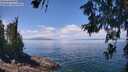 ./images/koeye/fitz-hugh/20260619/fitz-hugh20260619_124001M.jpg