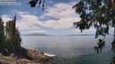 ./images/koeye/fitz-hugh/20260619/fitz-hugh20260619_125501M.jpg