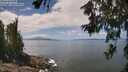 ./images/koeye/fitz-hugh/20260619/fitz-hugh20260619_130501M.jpg