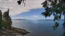 ./images/koeye/fitz-hugh/20260619/fitz-hugh20260619_131501M.jpg