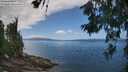 ./images/koeye/fitz-hugh/20260619/fitz-hugh20260619_132002M.jpg
