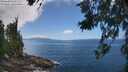 ./images/koeye/fitz-hugh/20260619/fitz-hugh20260619_132501M.jpg