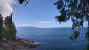 ./images/koeye/fitz-hugh/20260619/fitz-hugh20260619_133001M.jpg