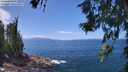./images/koeye/fitz-hugh/20260619/fitz-hugh20260619_133501M.jpg