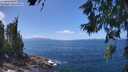 ./images/koeye/fitz-hugh/20260619/fitz-hugh20260619_134001M.jpg