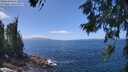 ./images/koeye/fitz-hugh/20260619/fitz-hugh20260619_134501M.jpg