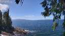 ./images/koeye/fitz-hugh/20260619/fitz-hugh20260619_135001M.jpg